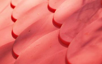 Great Hollands plastic roof costs